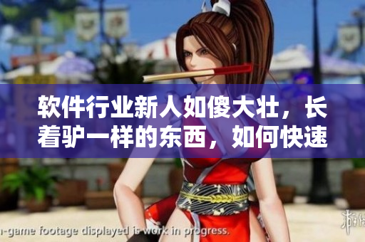 軟件行業(yè)新人如傻大壯，長(zhǎng)著驢一樣的東西，如何快速提高技能？