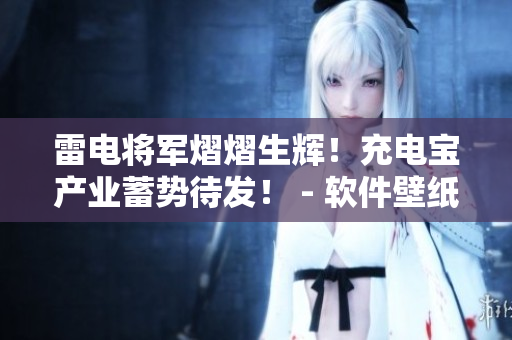 雷電將軍熠熠生輝！充電寶產(chǎn)業(yè)蓄勢(shì)待發(fā)！ - 軟件壁紙高清分享