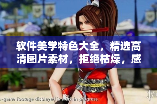 軟件美學(xué)特色大全，精選高清圖片素材，拒絕枯燥，感受軟件之美