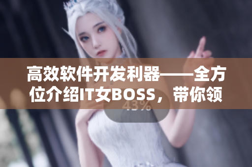 高效軟件開發(fā)利器——全方位介紹IT女BOSS，帶你領略軟件行業(yè)的魅力