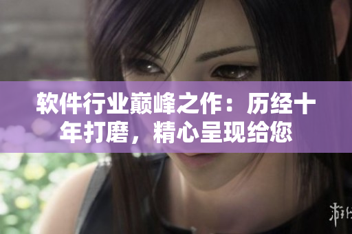 軟件行業(yè)巔峰之作：歷經(jīng)十年打磨，精心呈現(xiàn)給您