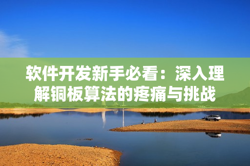 軟件開(kāi)發(fā)新手必看：深入理解銅板算法的疼痛與挑戰(zhàn)