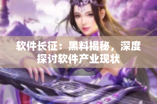 軟件長征：黑料揭秘，深度探討軟件產(chǎn)業(yè)現(xiàn)狀
