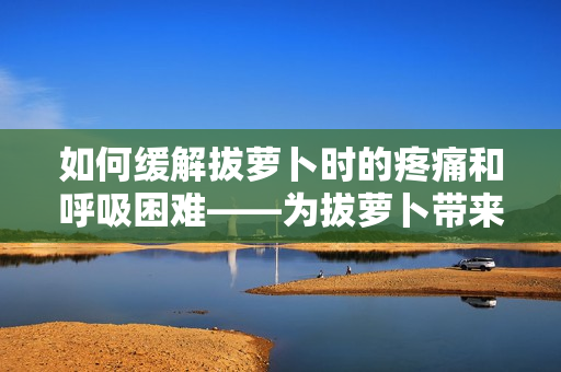 如何緩解拔蘿卜時(shí)的疼痛和呼吸困難——為拔蘿卜帶來(lái)舒適體驗(yàn)