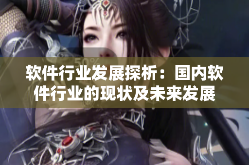 軟件行業(yè)發(fā)展探析：國內(nèi)軟件行業(yè)的現(xiàn)狀及未來發(fā)展