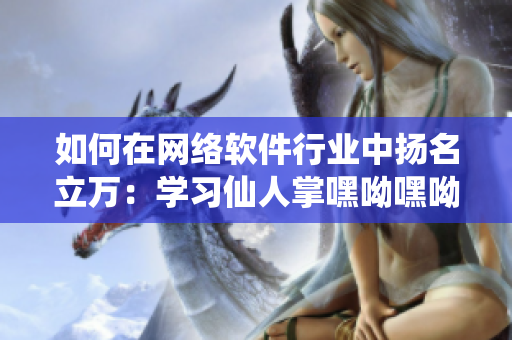 如何在網(wǎng)絡(luò)軟件行業(yè)中揚名立萬：學(xué)習(xí)仙人掌嘿呦嘿呦網(wǎng)站推廣經(jīng)驗