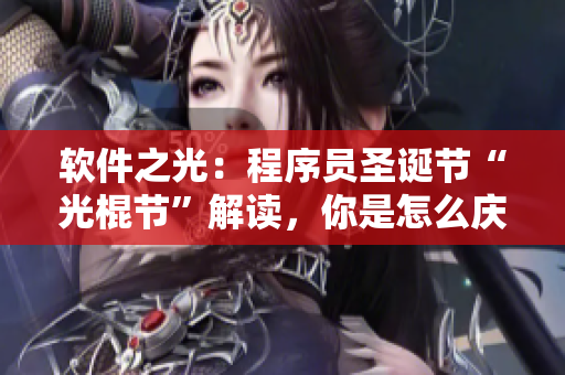 軟件之光：程序員圣誕節(jié)“光棍節(jié)”解讀，你是怎么慶祝的？