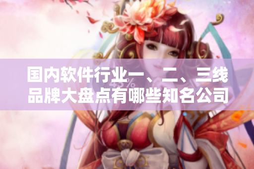 國(guó)內(nèi)軟件行業(yè)一、二、三線品牌大盤(pán)點(diǎn)有哪些知名公司？