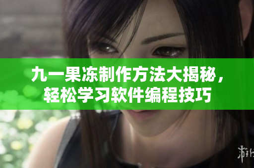 九一果凍制作方法大揭秘，輕松學(xué)習(xí)軟件編程技巧