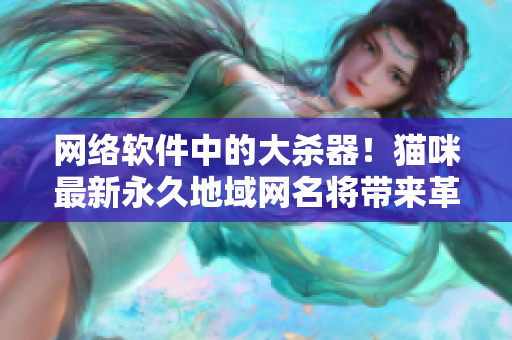 網(wǎng)絡(luò)軟件中的大殺器！貓咪最新永久地域網(wǎng)名將帶來革命性變革
