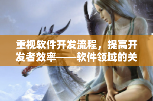 重視軟件開(kāi)發(fā)流程，提高開(kāi)發(fā)者效率——軟件領(lǐng)域的關(guān)鍵成功因素