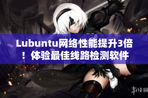 Lubuntu網(wǎng)絡(luò)性能提升3倍！體驗最佳線路檢測軟件
