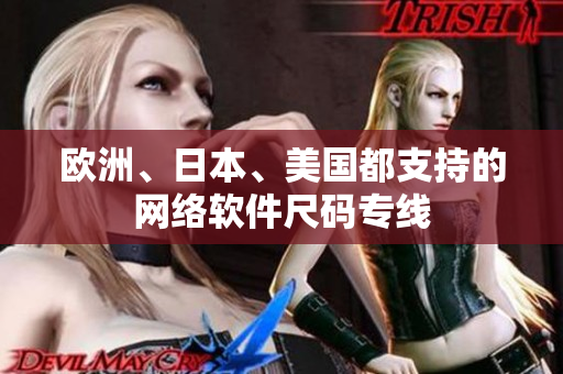 歐洲、日本、美國都支持的網(wǎng)絡(luò)軟件尺碼專線