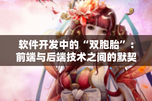軟件開發(fā)中的“雙胞胎”：前端與后端技術之間的默契配合