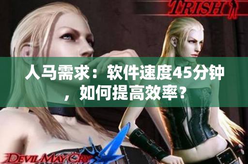 人馬需求：軟件速度45分鐘，如何提高效率？