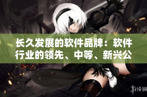 長久發(fā)展的軟件品牌：軟件行業(yè)的領(lǐng)先、中等、新興公司