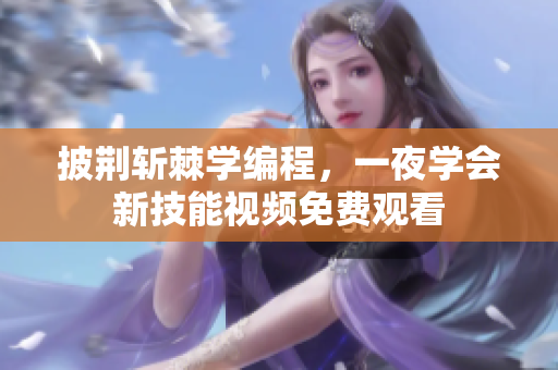 披荊斬棘學(xué)編程，一夜學(xué)會(huì)新技能視頻免費(fèi)觀看