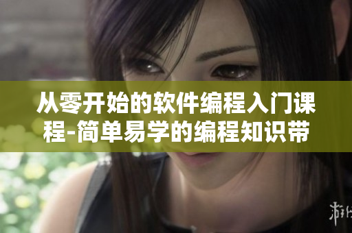 從零開始的軟件編程入門課程-簡單易學(xué)的編程知識帶你掌握自己開發(fā)軟件