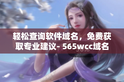 輕松查詢軟件域名，免費獲取專業(yè)建議- 565wcc域名查詢