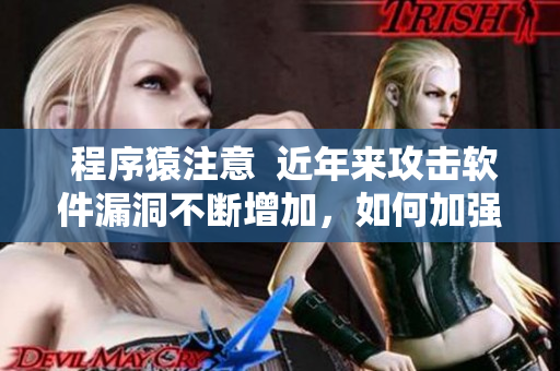  程序猿注意  近年來攻擊軟件漏洞不斷增加，如何加強軟件安全？