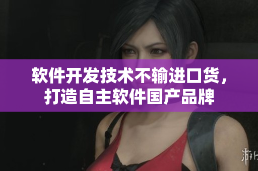軟件開發(fā)技術(shù)不輸進(jìn)口貨，打造自主軟件國產(chǎn)品牌