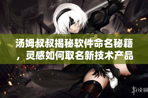 湯姆叔叔揭秘軟件命名秘籍，靈感如何取名新技術(shù)產(chǎn)品