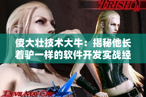傻大壯技術(shù)大牛：揭秘他長(zhǎng)著驢一樣的軟件開發(fā)實(shí)戰(zhàn)經(jīng)驗(yàn)