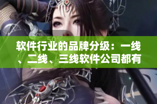 軟件行業(yè)的品牌分級：一線、二線、三線軟件公司都有哪些？
