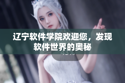 遼寧軟件學(xué)院歡迎您，發(fā)現(xiàn)軟件世界的奧秘