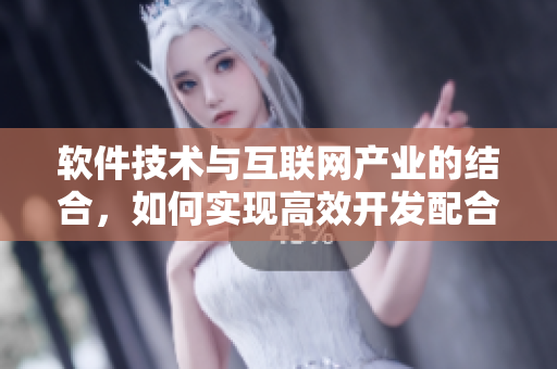 軟件技術(shù)與互聯(lián)網(wǎng)產(chǎn)業(yè)的結(jié)合，如何實(shí)現(xiàn)高效開發(fā)配合