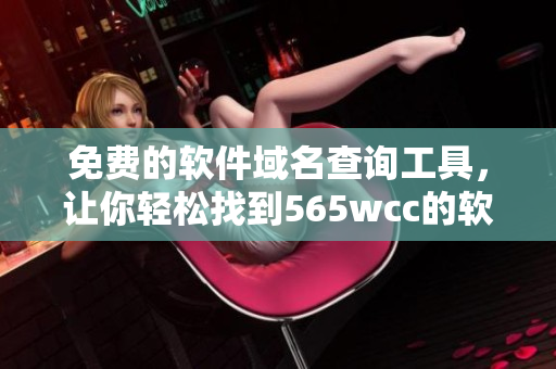 免費(fèi)的軟件域名查詢工具，讓你輕松找到565wcc的軟件域名