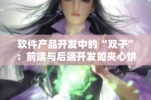 軟件產(chǎn)品開(kāi)發(fā)中的“雙子”：前端與后端開(kāi)發(fā)如夾心餅干一般完美搭配