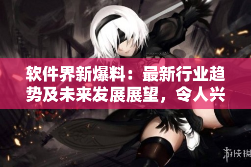 軟件界新爆料：最新行業(yè)趨勢(shì)及未來發(fā)展展望，令人興奮！