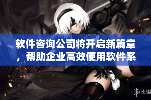 軟件咨詢公司將開啟新篇章，幫助企業(yè)高效使用軟件系統(tǒng)