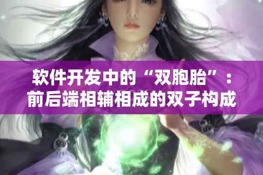 軟件開(kāi)發(fā)中的“雙胞胎”：前后端相輔相成的雙子構(gòu)成