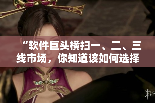 “軟件巨頭橫掃一、二、三線市場，你知道該如何選擇？”