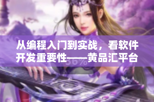 從編程入門(mén)到實(shí)戰(zhàn)，看軟件開(kāi)發(fā)重要性——黃品匯平臺(tái)推薦方案