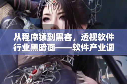 從程序猿到黑客，透視軟件行業(yè)黑暗面——軟件產(chǎn)業(yè)調查報道