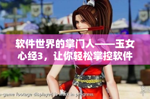 軟件世界的掌門人——玉女心經(jīng)3，讓你輕松掌控軟件江湖