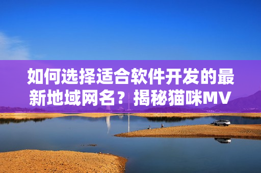 如何選擇適合軟件開發(fā)的最新地域網(wǎng)名？揭秘貓咪MV背后的命名技巧