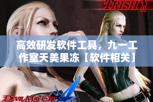 高效研發(fā)軟件工具，九一工作室天美果凍【軟件相關(guān)】