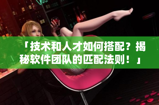 「技術(shù)和人才如何搭配？揭秘軟件團(tuán)隊(duì)的匹配法則！」