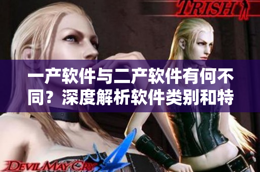 一產(chǎn)軟件與二產(chǎn)軟件有何不同？深度解析軟件類別和特點