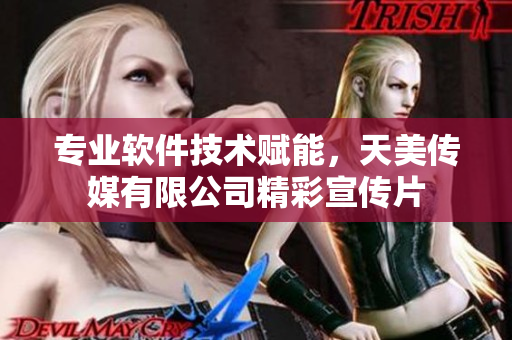 專業(yè)軟件技術(shù)賦能，天美傳媒有限公司精彩宣傳片