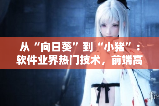 從“向日葵”到“小豬”：軟件業(yè)界熱門技術，前端高級開發(fā)必備！