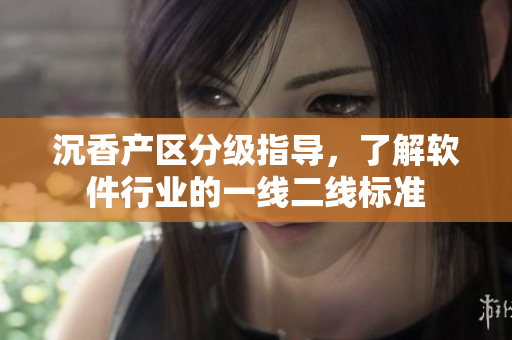 沉香產(chǎn)區(qū)分級(jí)指導(dǎo)，了解軟件行業(yè)的一線二線標(biāo)準(zhǔn)