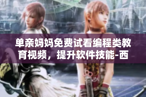 單親媽媽免費(fèi)試看編程類教育視頻，提升軟件技能-西瓜視頻
