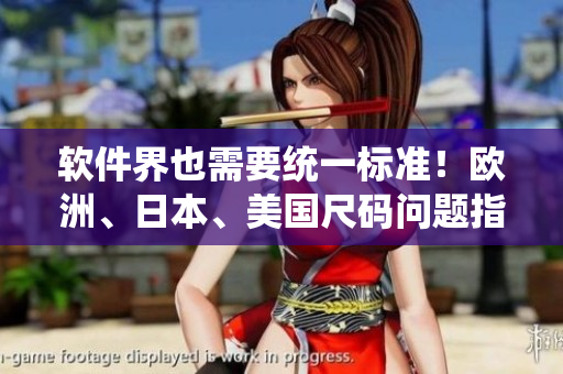 軟件界也需要統(tǒng)一標(biāo)準(zhǔn)！歐洲、日本、美國尺碼問題指南