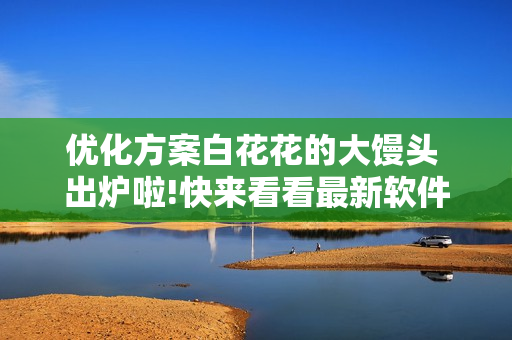 優(yōu)化方案白花花的大饅頭 出爐啦!快來(lái)看看最新軟件設(shè)計(jì)技巧