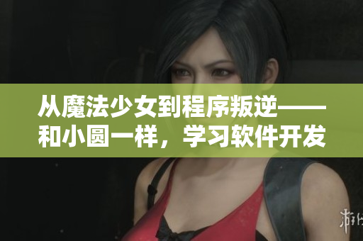 從魔法少女到程序叛逆——和小圓一樣，學(xué)習(xí)軟件開發(fā)的挑戰(zhàn)之路
